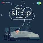 Sanam Hindi Lofi - Jeet Song Download